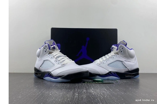 DD0587-141 DD0587-141 Jordan Concord Dark Retro 5  0502